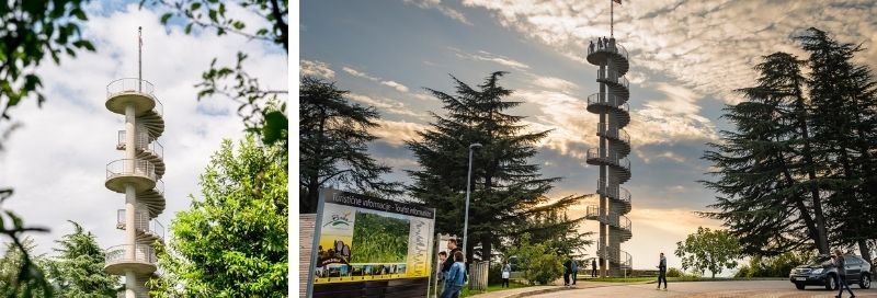 9775609769713457_povzpni-se-na-razgledni-stolp-v-gonjacah-in-si-privosci-najlepsi-razgled-na-brda.jpg