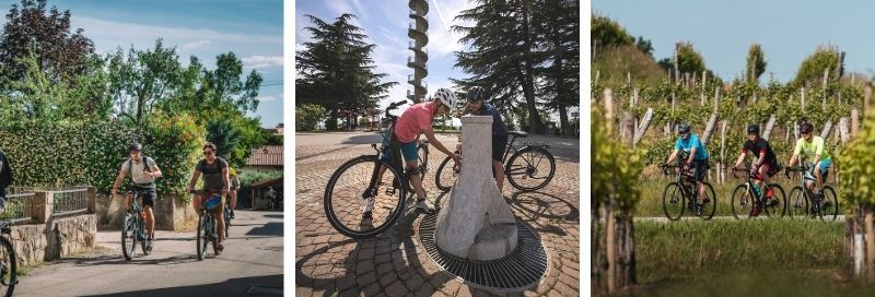 9769454804294454_najemi-elektricno-ali-gorsko-kolo-in-se-podaj-po-briskih-gricih.jpg