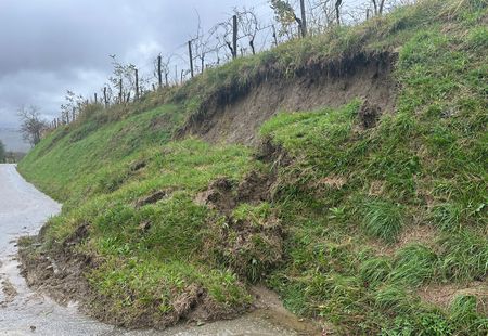 Kozana - zaselek Gmajna