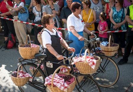 Praznik___e__enj_2014-39.jpg