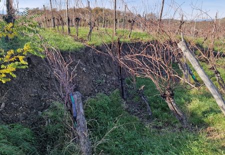 škoda na kmetijskih zemljiščih_Jordano (Plešivo)