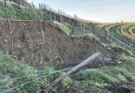 škoda na kmetijskih zemljiščih_Višnjevik