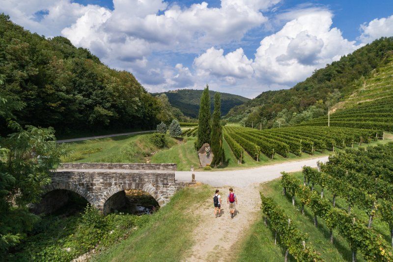 F014937-most_goriska_brda_jost_gantar-photo-m.jpg